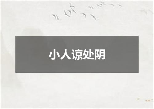 小人谅处阴