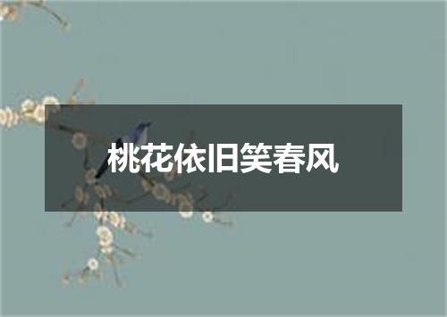 桃花依旧笑春风