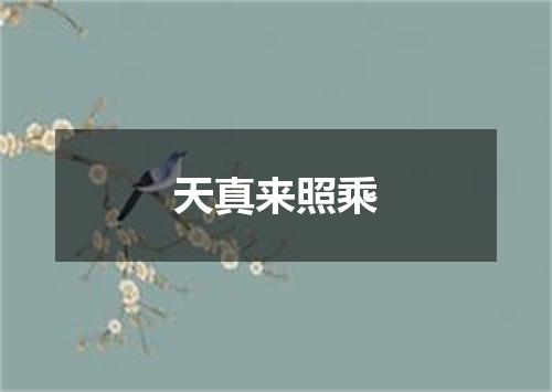天真来照乘
