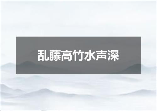 乱藤高竹水声深
