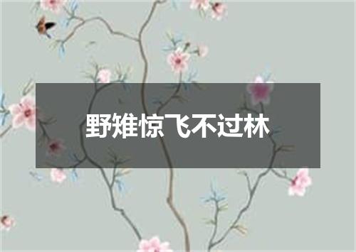 野雉惊飞不过林