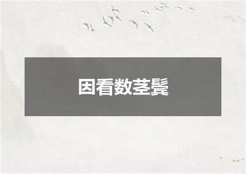 因看数茎鬓