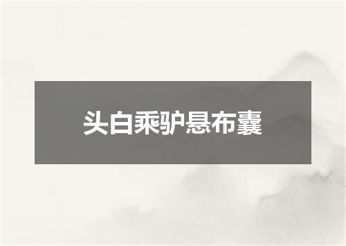 头白乘驴悬布囊