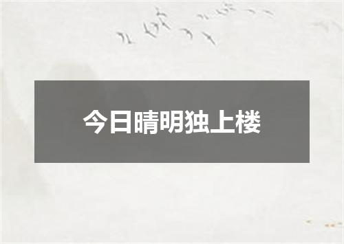 今日晴明独上楼