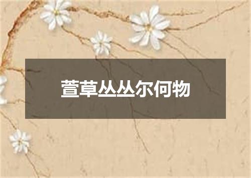 萱草丛丛尔何物