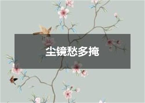 尘镜愁多掩