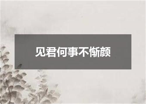 见君何事不惭颜