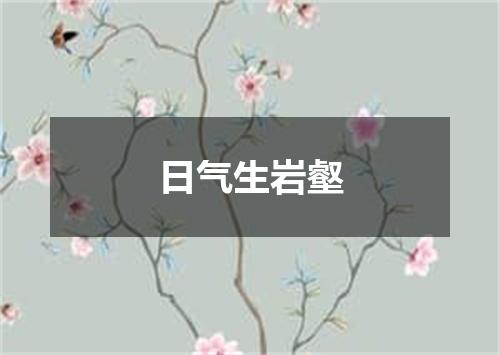 日气生岩壑