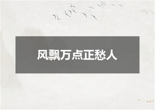 风飘万点正愁人
