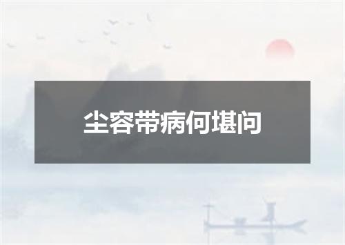尘容带病何堪问