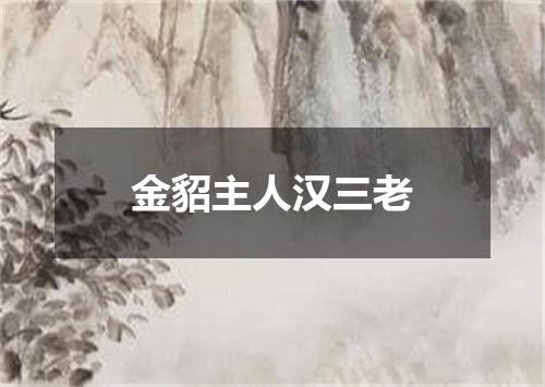 金貂主人汉三老