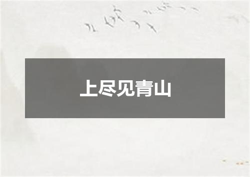 上尽见青山