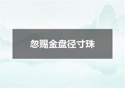 忽赐金盘径寸珠