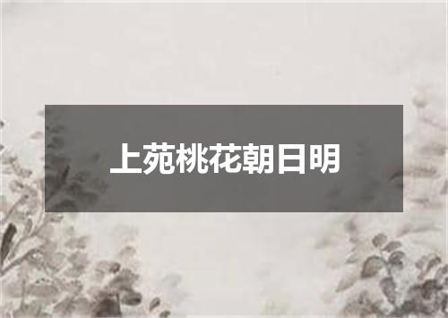 上苑桃花朝日明