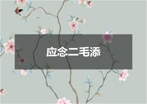 应念二毛添