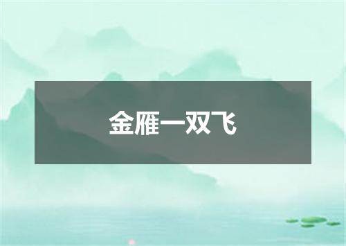 金雁一双飞