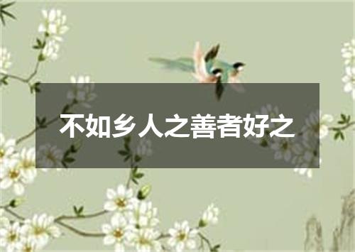 不如乡人之善者好之