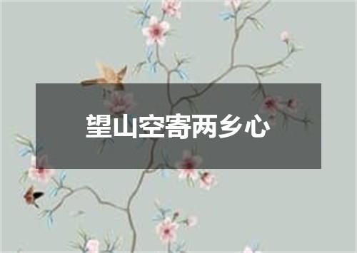 望山空寄两乡心