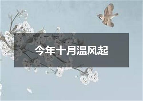 今年十月温风起