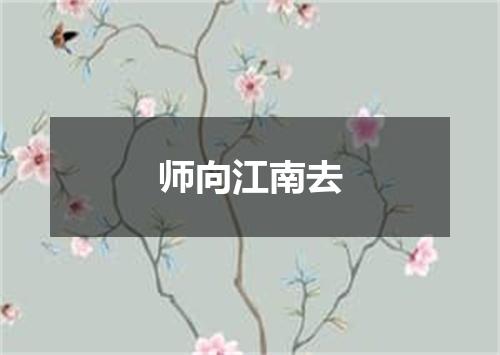 师向江南去