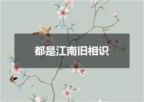 都是江南旧相识