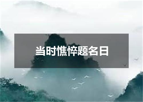 当时憔悴题名日