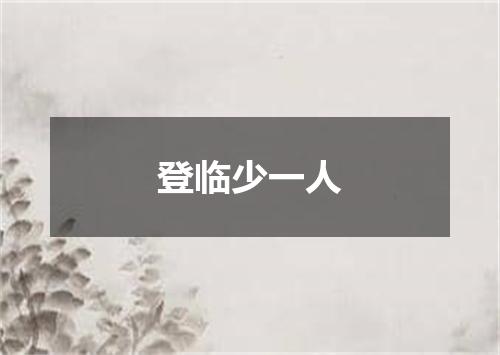 登临少一人