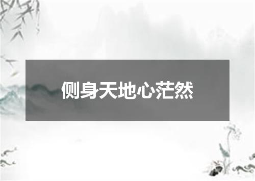侧身天地心茫然