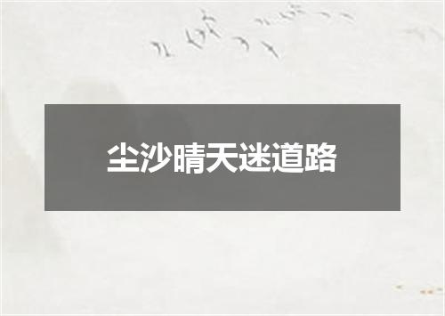 尘沙晴天迷道路