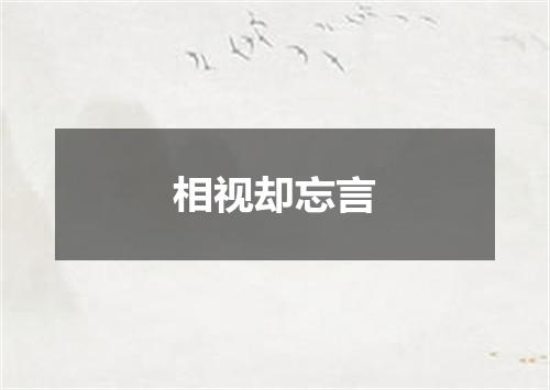 相视却忘言