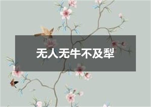 无人无牛不及犁