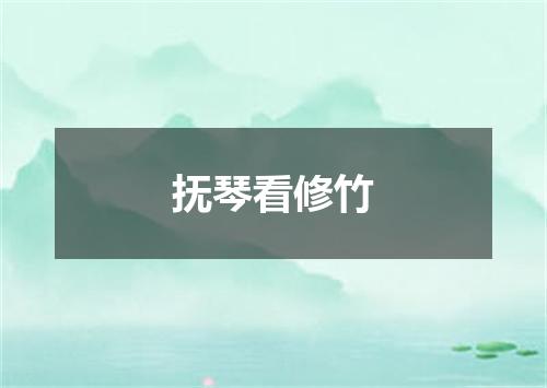 抚琴看修竹