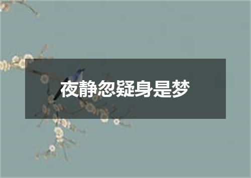 夜静忽疑身是梦
