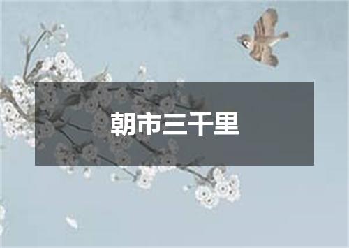 朝市三千里
