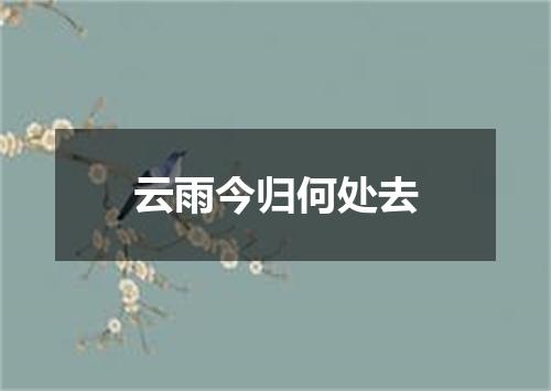 云雨今归何处去
