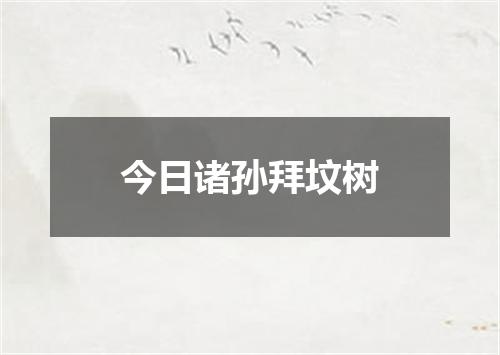 今日诸孙拜坟树