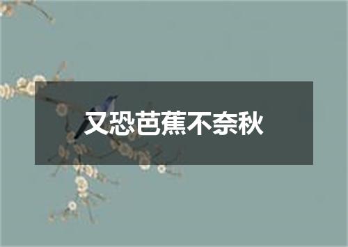 又恐芭蕉不奈秋