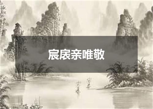 宸扆亲唯敬