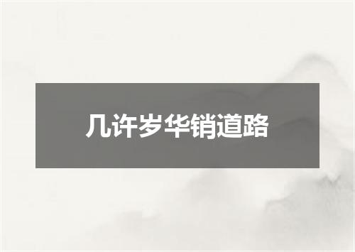 几许岁华销道路