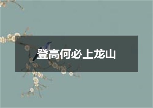 登高何必上龙山