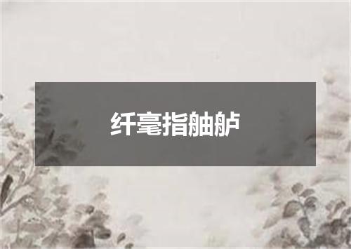 纤毫指舳舻