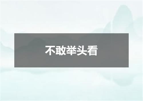 不敢举头看
