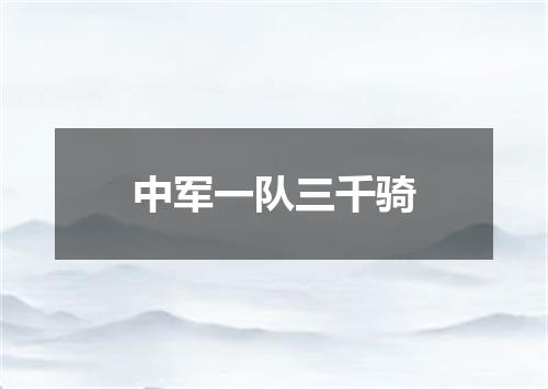 中军一队三千骑
