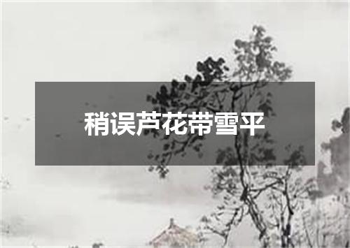 稍误芦花带雪平