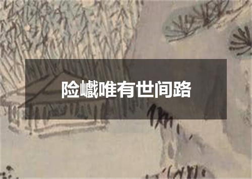 险巇唯有世间路