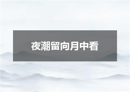 夜潮留向月中看