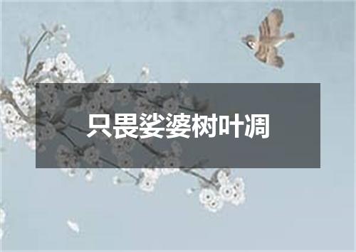 只畏娑婆树叶凋