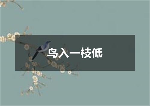 鸟入一枝低