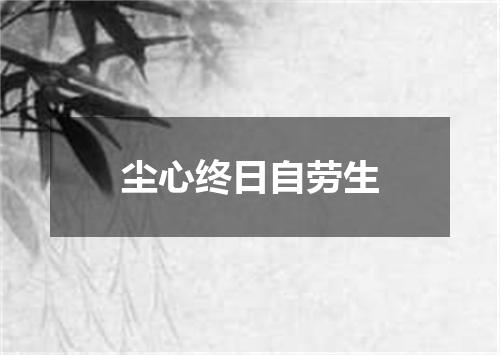 尘心终日自劳生