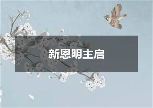 新恩明主启